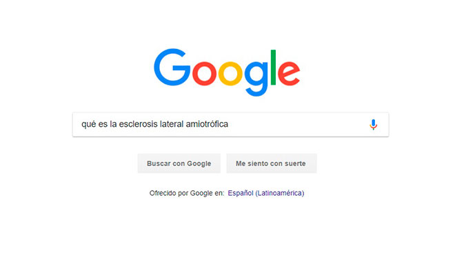 Google ha publicado su tradicional resumen de bsquedas.